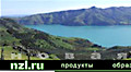 nzl.ru original header design May 2002